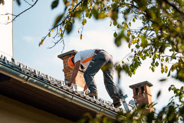 Best Roof Repair Services  in Fords, NJ
